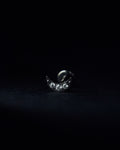 Piercing Luna Plateado